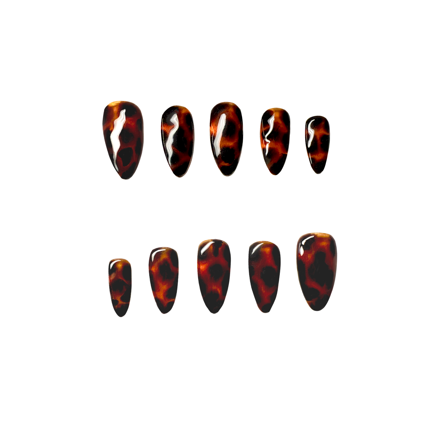 Glass Tortoise
