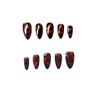 Glass Tortoise