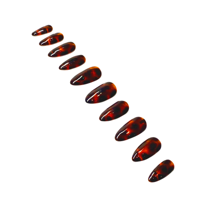Glass Tortoise